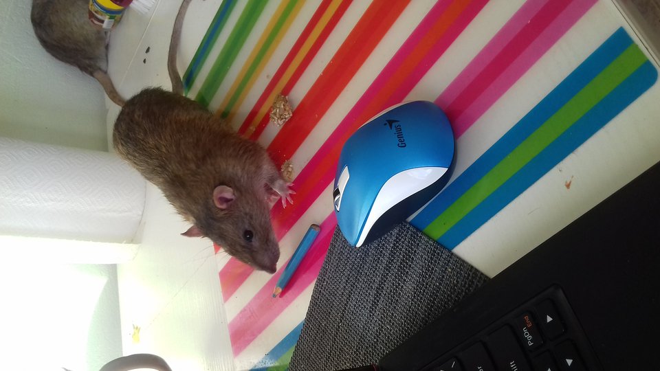 20170216_134233.jpg (90.97 КБ) 17803 просмотра 20170216_134233.jpg