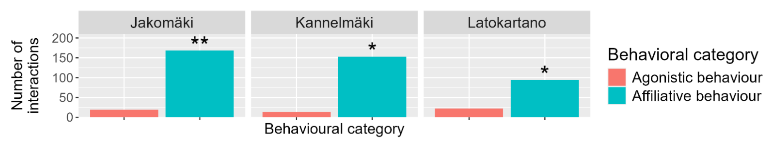 2026 Social behaviour of urban Rattus norvegicus in Helsinki Finland 2.png