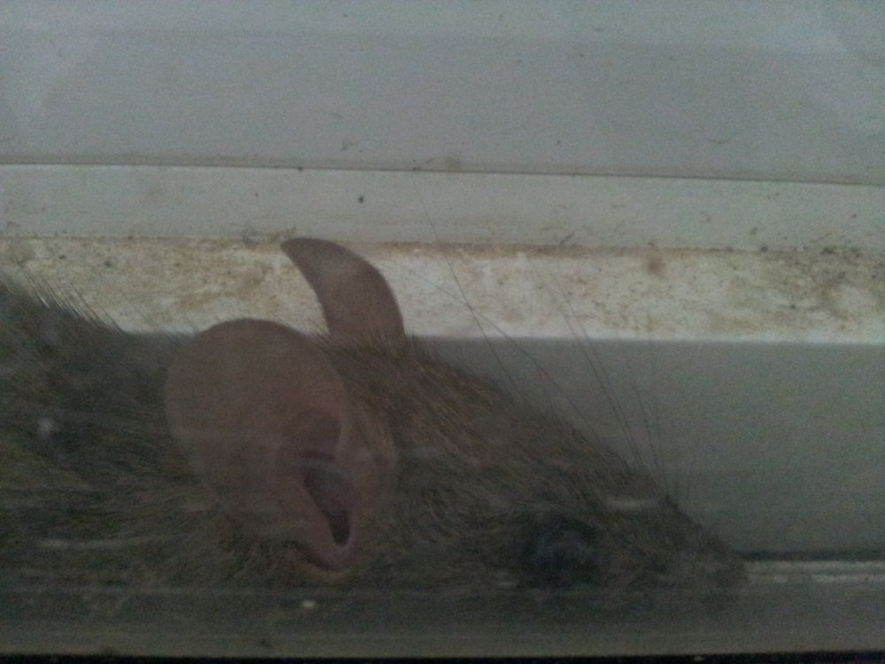 20141126_224255.jpg