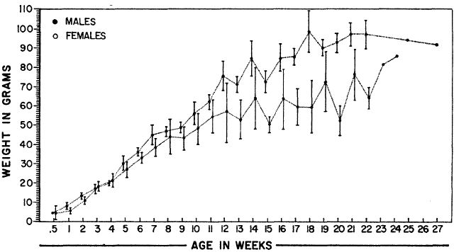 1973 growth&development_of_R.exulans age&weight.JPG