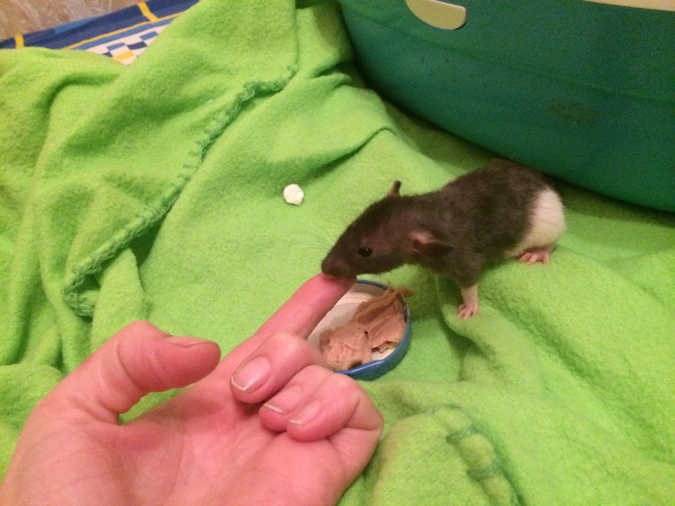 image.jpeg (1.7 МБ) 19833 просмотра image.jpeg