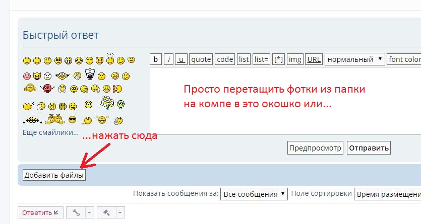 AttachPhoto.JPG