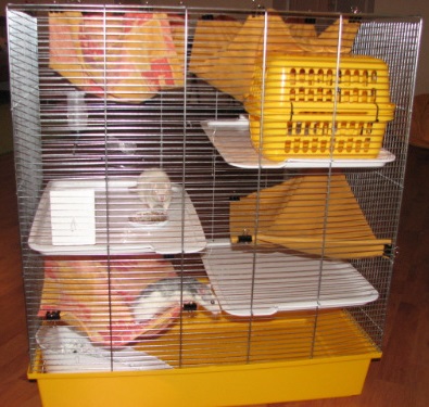 Как сделать клетку для крысы своими руками из подручных материалов в домашних условиях: пошаговая инструкция